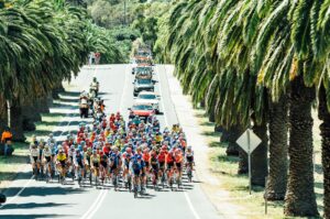 Lead pack of professional male cyclists riding the Santos Tour Down Under, cycling down a palm tree lined road closely followed by their support vehicles and comms teams.