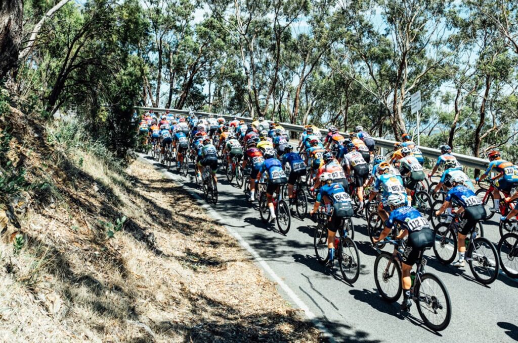 Lead pack of professional female cyclists riding the Santos Tour Down Under, cycling up one of the tree lined hill climbs